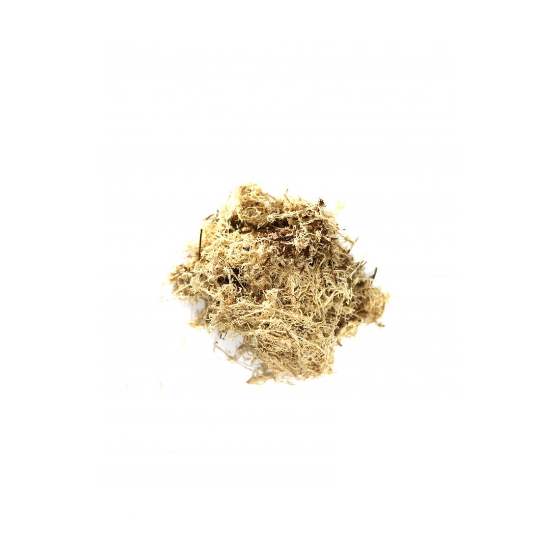 Simple Zoo Мох сфагнум влажный - грунт для рептилий 1,5л