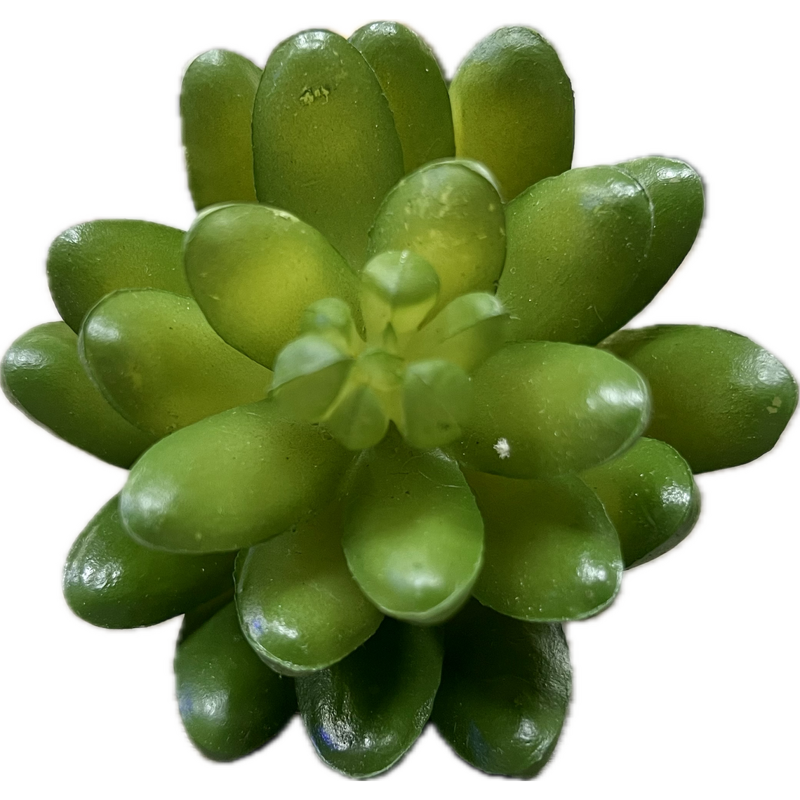 Искусственное растение "Суккулент 196"