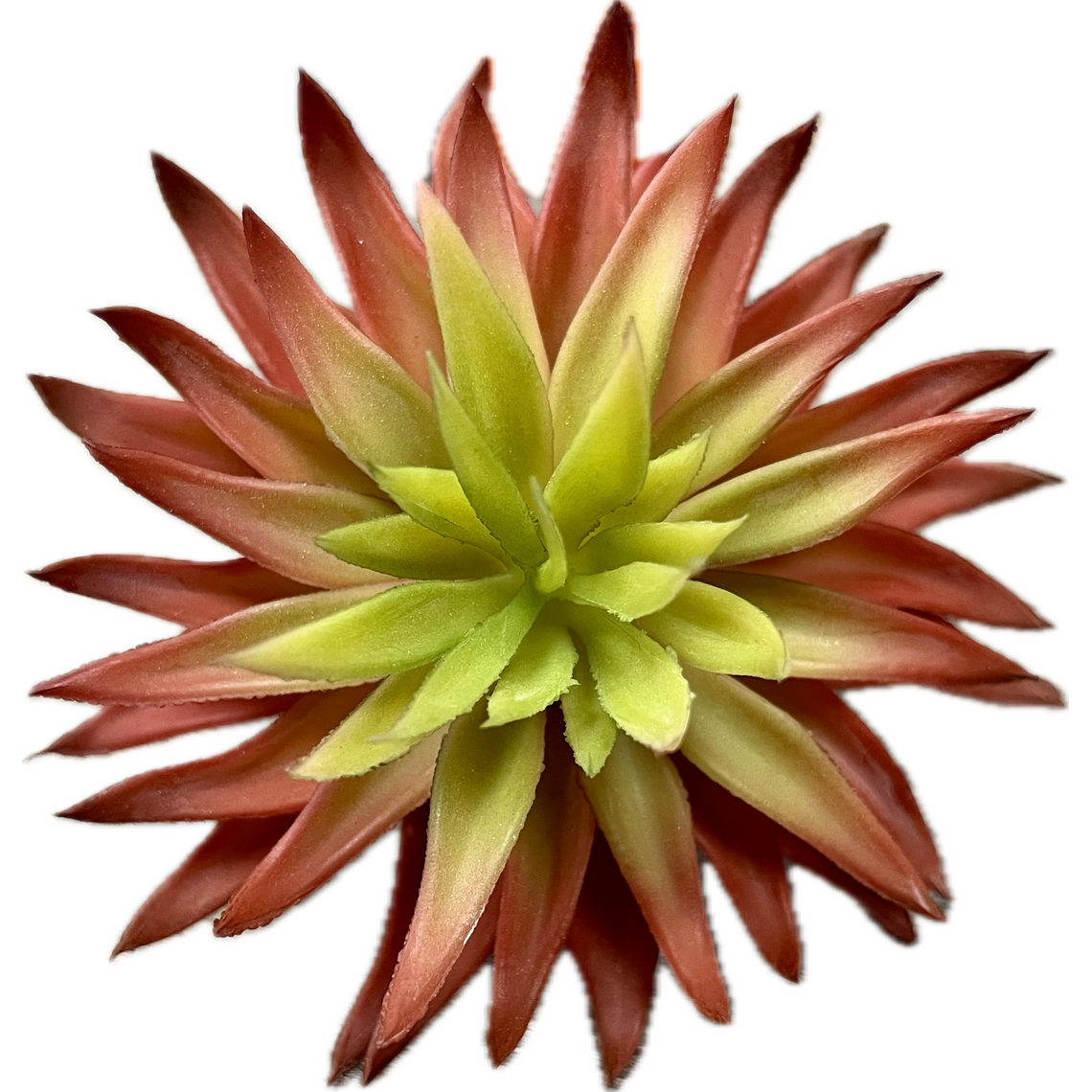 Искусственное растение "Суккулент 0931"