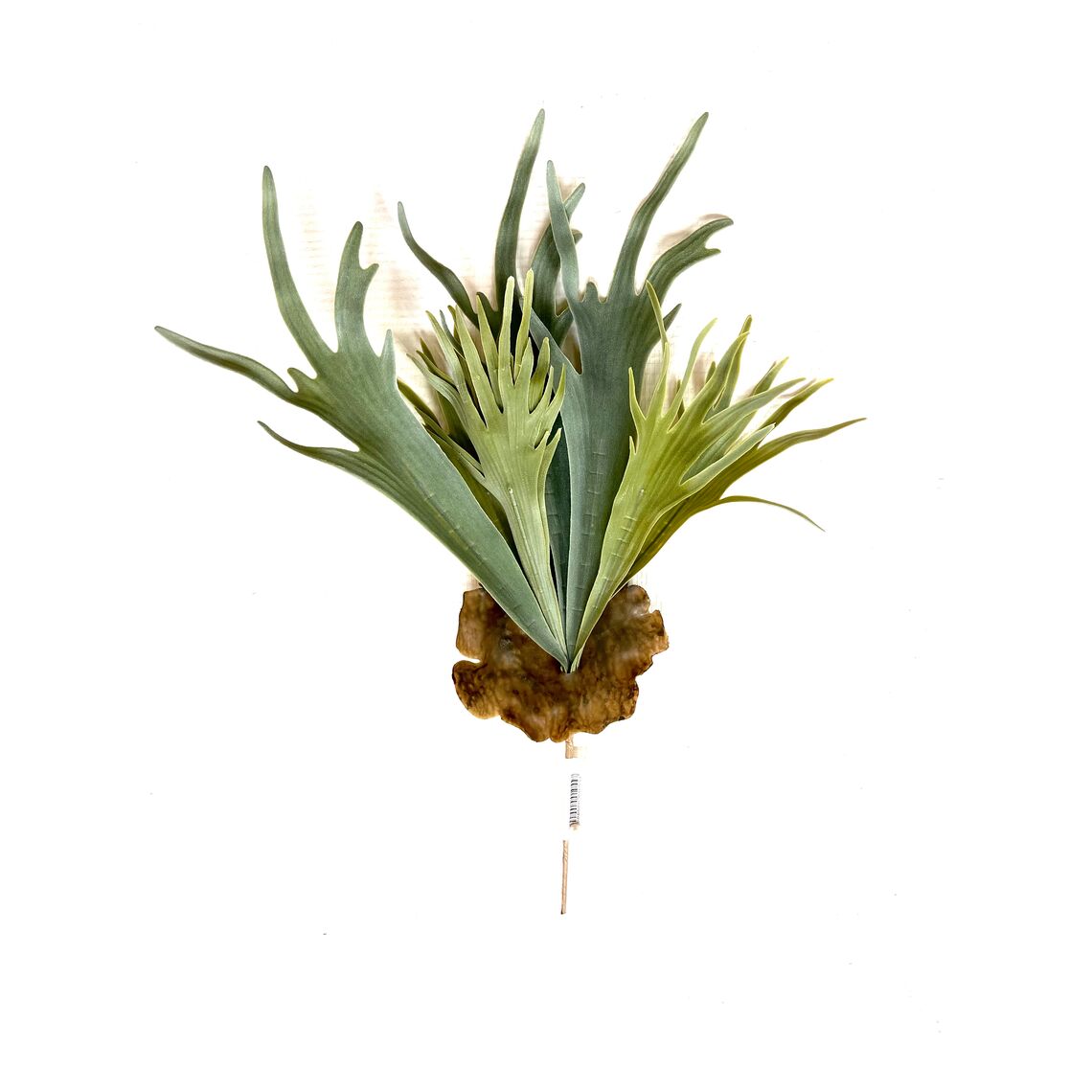 Искусственное растение "Куст Оленьи рога" 5081 56 см