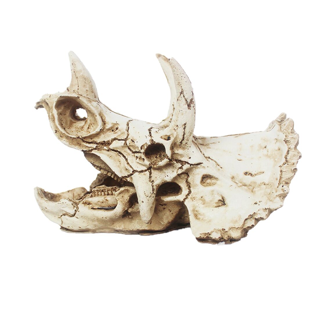 Декорация Nomoy Pet "Череп трицератопса L" 17x11,5x11,5 см