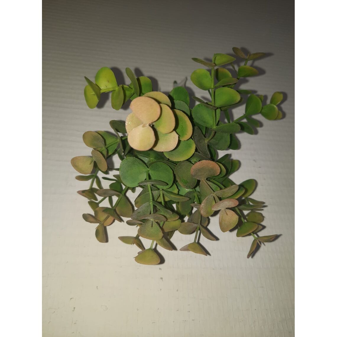 Искусственное растение "Эвкалипт зеленый" 20 см (2-8092)