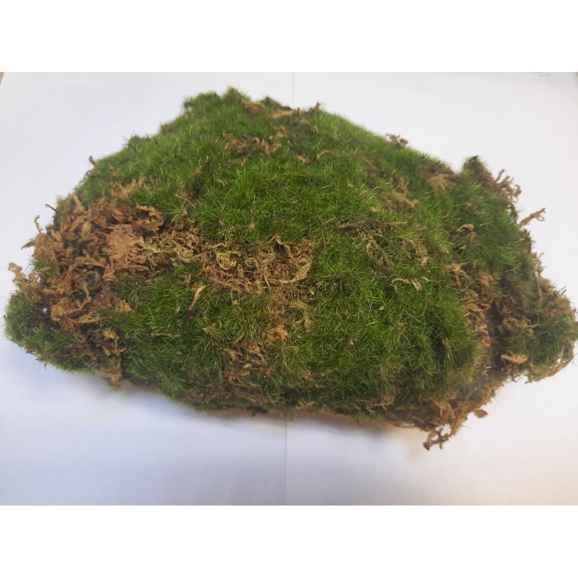 Замшелый камень 20x12x10см 3942