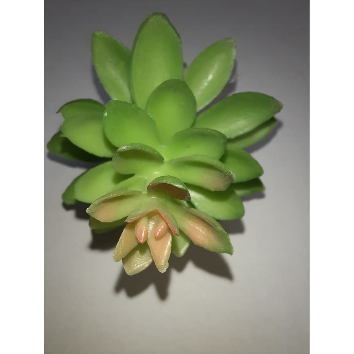 Искусственное растение "Суккулент 058"